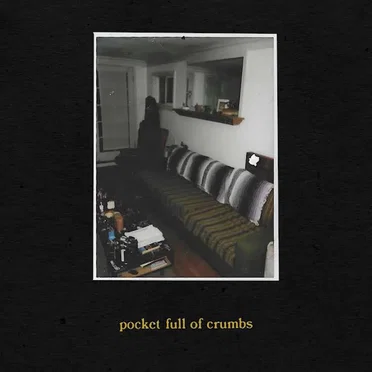 Pocket Full Of Crumbs