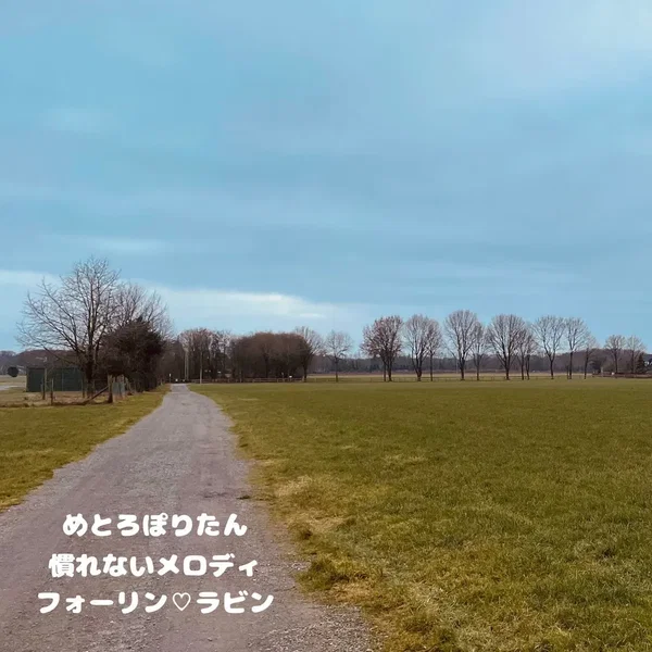 めとろぽりたん#3