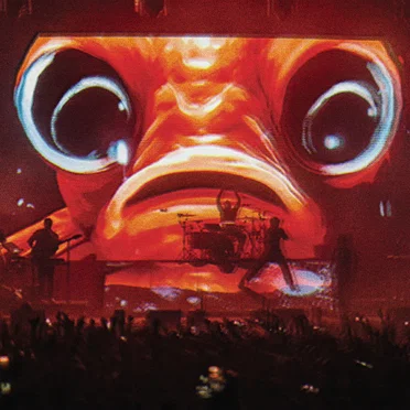 Sssnakepit (Live at Wembley)