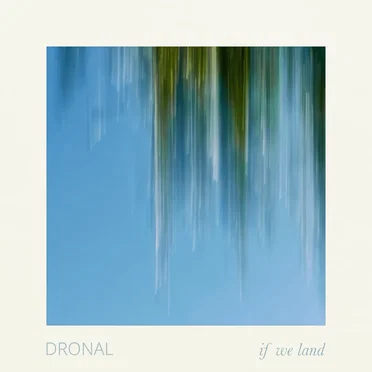 If We Land by Dronal - album cover