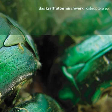 Coleoptera