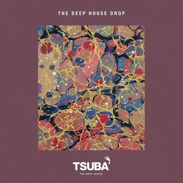 The Deep House Drop by Various Artists - album cover