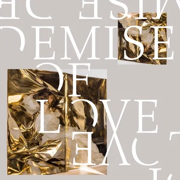 Demise Of Love by Demise Of Love - album cover