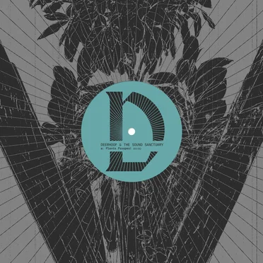 Deerhoof & The Sound Sanctuary