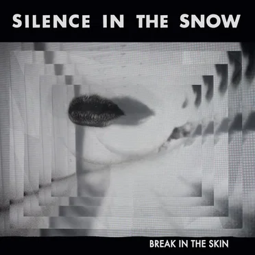 Break In The Skin by Silence in the Snow - album cover