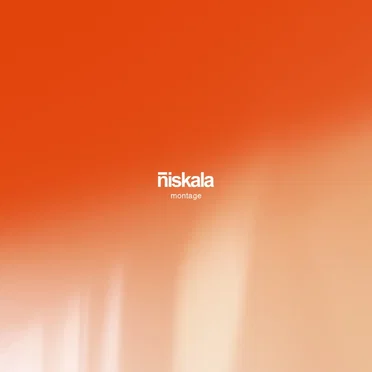 Montage by Niskala - album cover