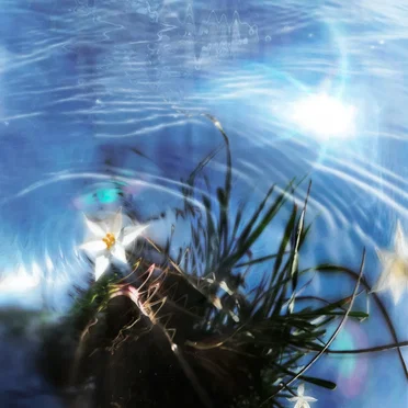 future perfect [blue.garden dream mix]