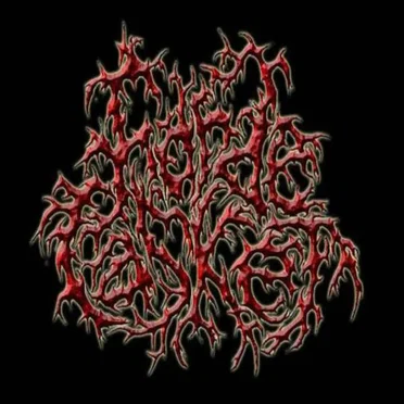 Promo 2008