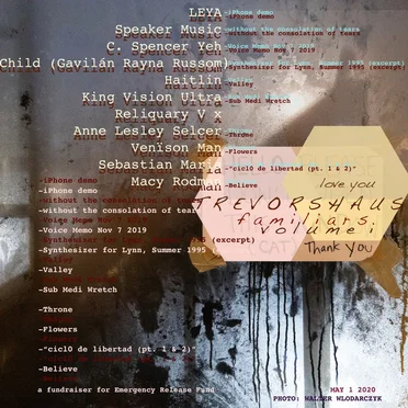 TREVORSHAUS Familiars: Volume I by Various Artists - album cover