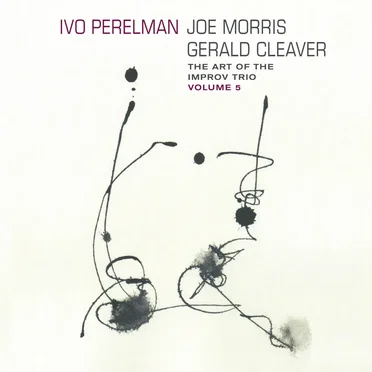 The Art of the Improv Trio, Volume 5