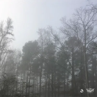 In the Deep Drift You Will Find the Most Serene of Lullabies by Various Artists - album cover