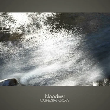 Cathedral Grove by Bloodmist - album cover