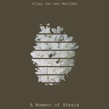 A Moment of Stasis