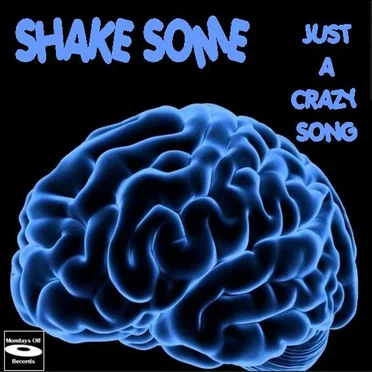 Just a Crazy Song