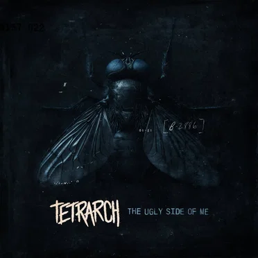 Cold by Tetrarch - album cover