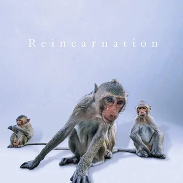 Reincarnation