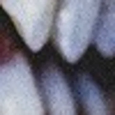 Lorsqu'il ne reste qu'une minute by La Flore Intestinale - album cover