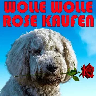 Wolle Wolle Rose kaufen