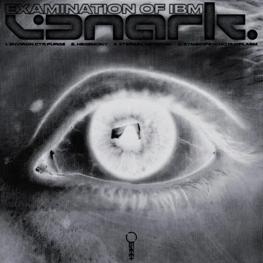 EXAMINATION OF IBM by VONARK - album cover