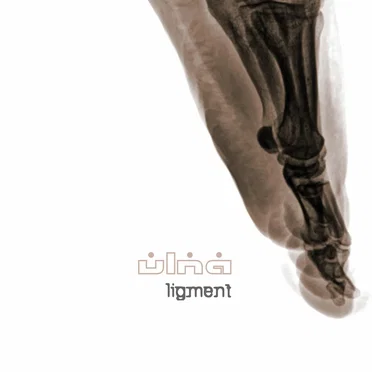Ligment by Ulna - album cover