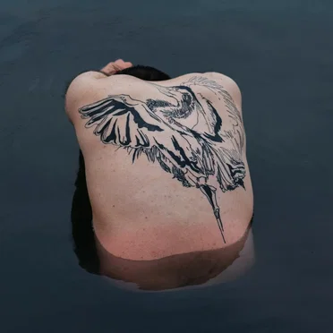 Blue Heron by Jodi - album cover