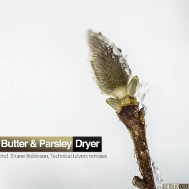 Dryer by Butter & Parsley - album cover
