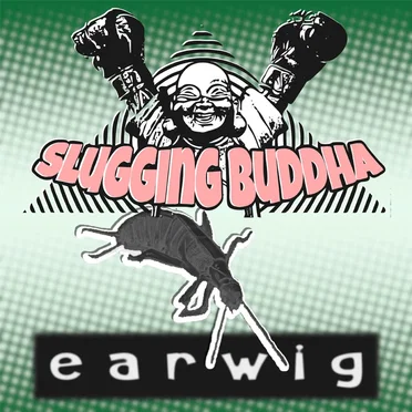 earwig