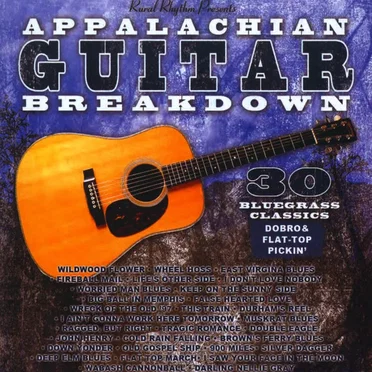 Appalachian Guitar Breakdown: 30 Bluegrass Classics by Various Artists - album cover