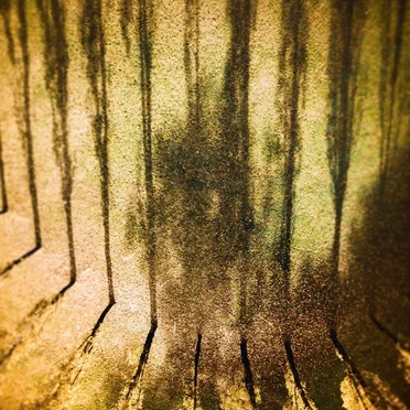 Fathom by Mesozoic - album cover