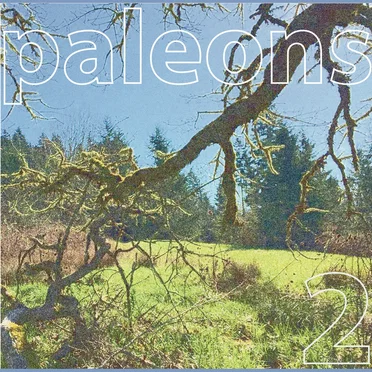 PALEONS 2 by Paleons - album cover