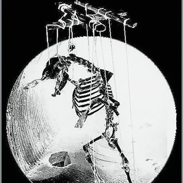 Dead Cult