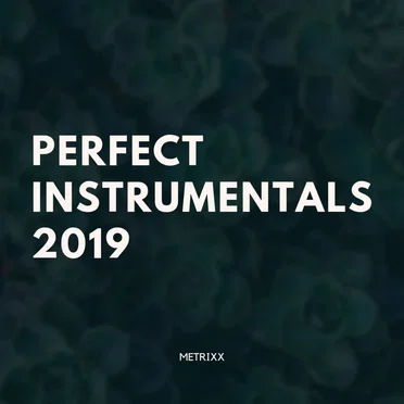Perfect Instrumentals 2019 by Metrixx - album cover