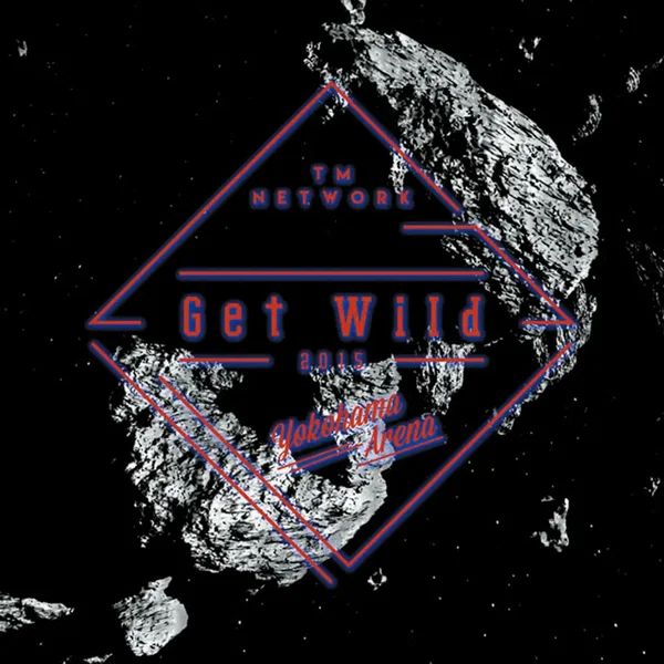 Get Wild 2015