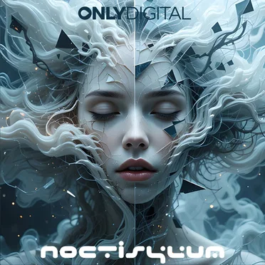 Hollow Goodbye by Noctisylum - album cover