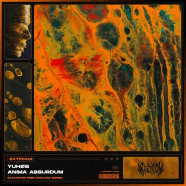 Anima Absurdum by Yuhøs - album cover