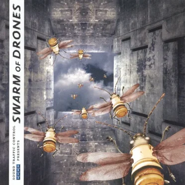 Swarm of Drones by Various Artists - album cover
