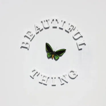 Beautiful Thing