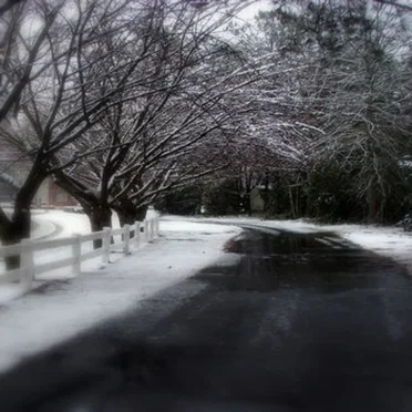Violet Nacht by Valentine Winter - album cover