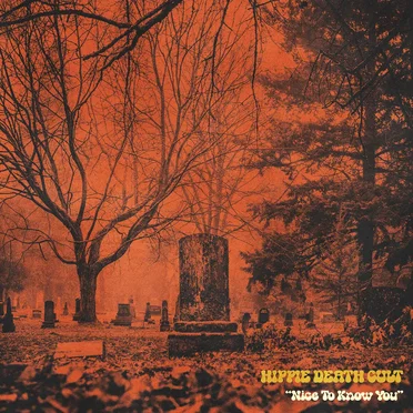 Nice to Know You by Hippie Death Cult - album cover