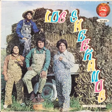 Los Sheekanos by Los Sheekanos - album cover