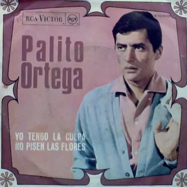 Yo tengo la culpa