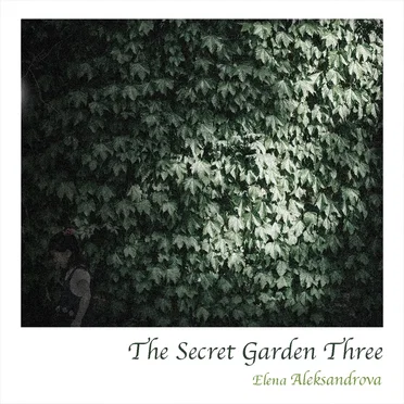 The Secret Garden Three