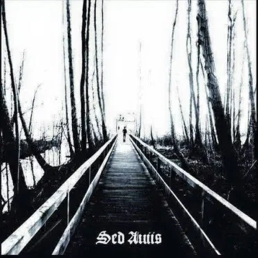 Sed Auiis