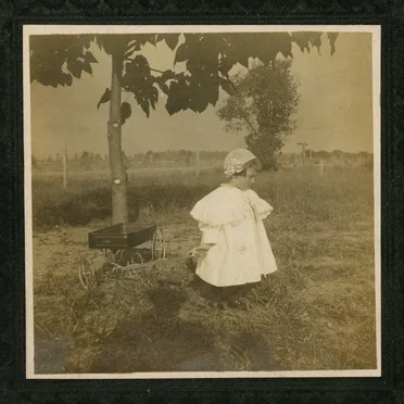Trees Will Return