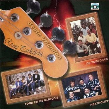 Reunie Parkzicht Beste Vrienden by Various Artists - album cover