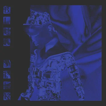 Blue Silk by Persona La Ave - album cover