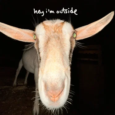 hey i'm outside by hey i'm outside - album cover