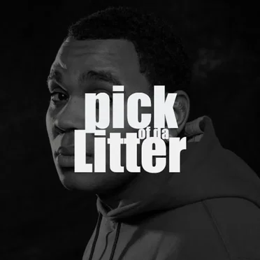 Pick of da Litter by Kevin Gates - album cover