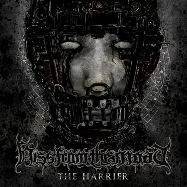 The Harrier by Hiss from the Moat - album cover