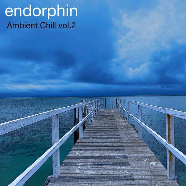 Ambient Chill, Vol. 2